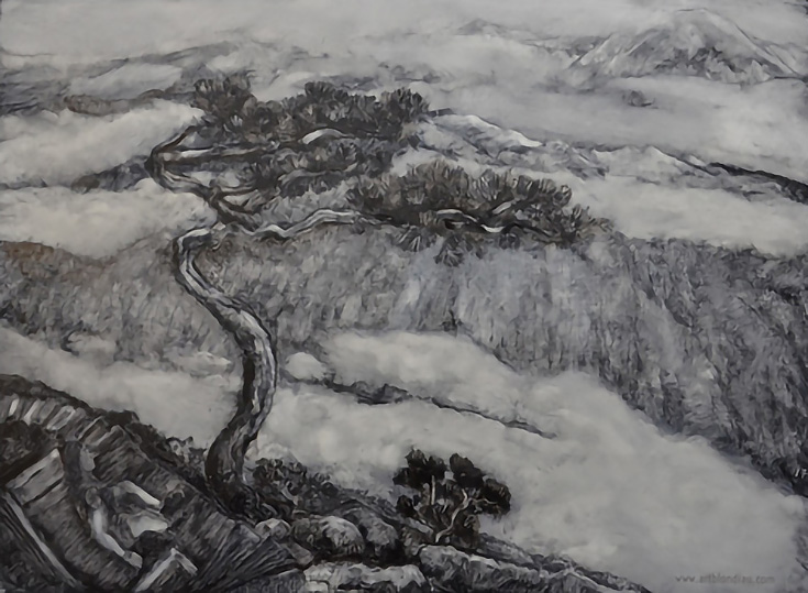 betvictro伟德体育这是一幅单色画，画的是一棵从悬崖上长出来的树，高出地面和云层