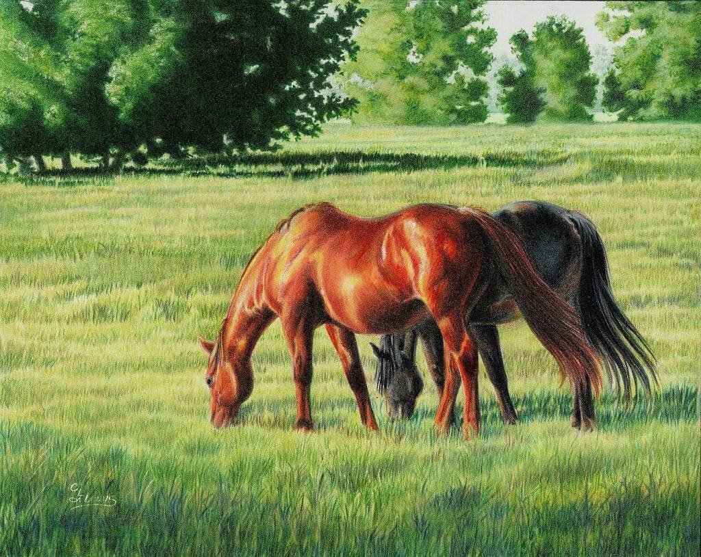 betvictro伟德体育画的是田野里的两匹马