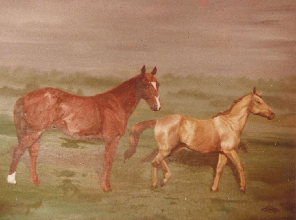 betvictro伟德体育一幅田野里的两匹马的画