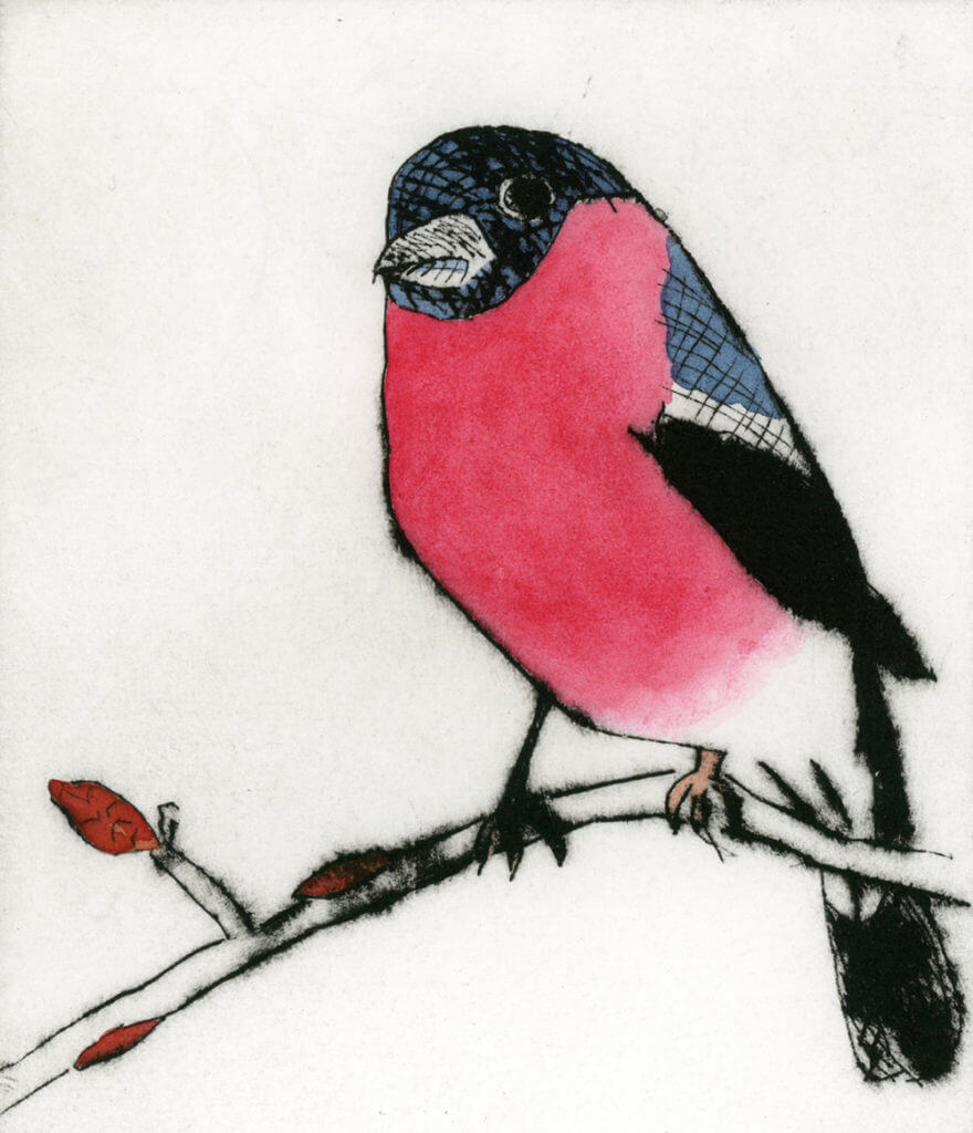 betvictro伟德体育一只红黑相间的鸟坐在树枝上